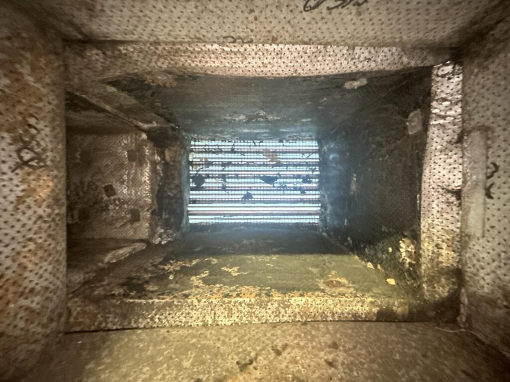 Ventilation interior inspected during a commercial mould assessment