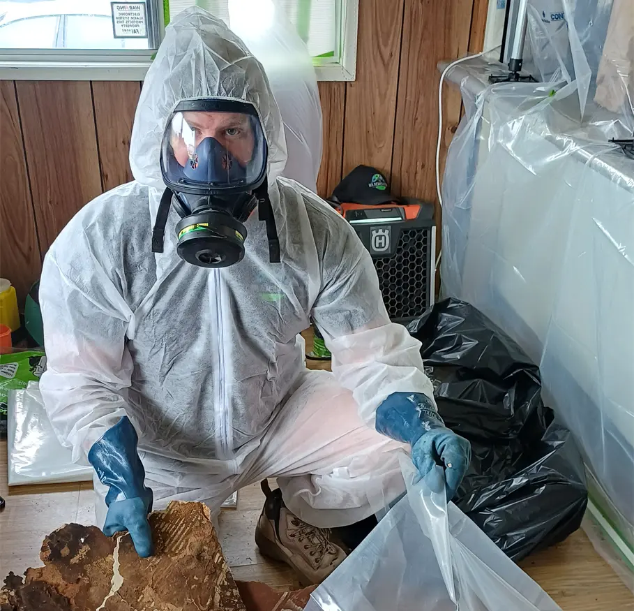 Mr Remediation Mould Cleaning