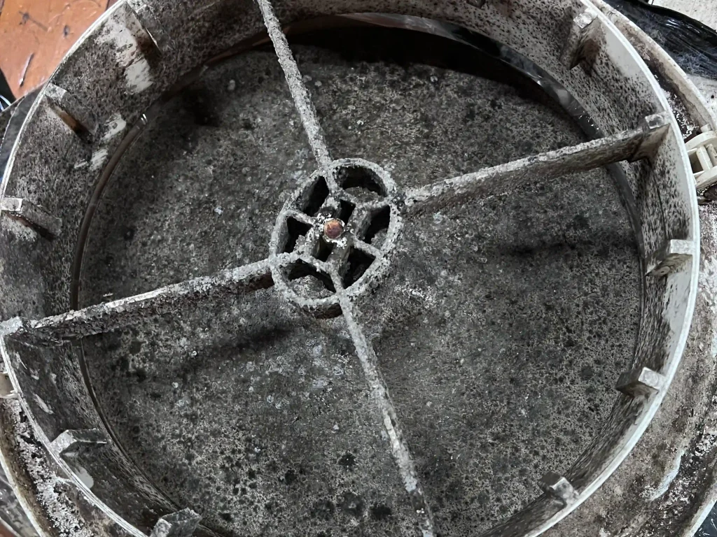 Mr Remediation Moulds 3