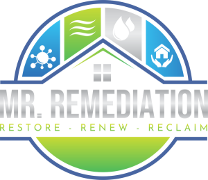 Mr Remediation Transparent White