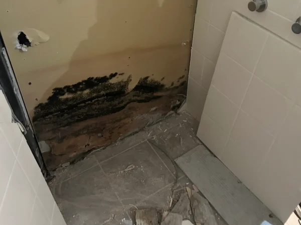 Mr Remediation Bathroom Mould